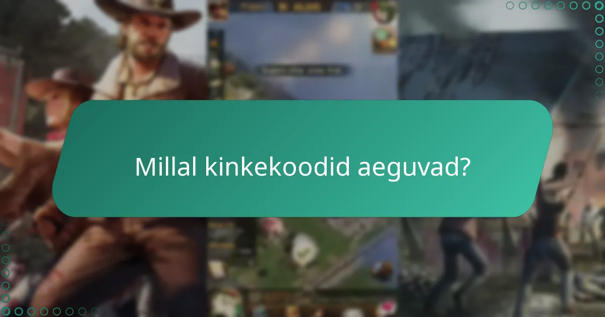 Milliseid meisterdamismaterjale saan kinkekoodide abil saada?